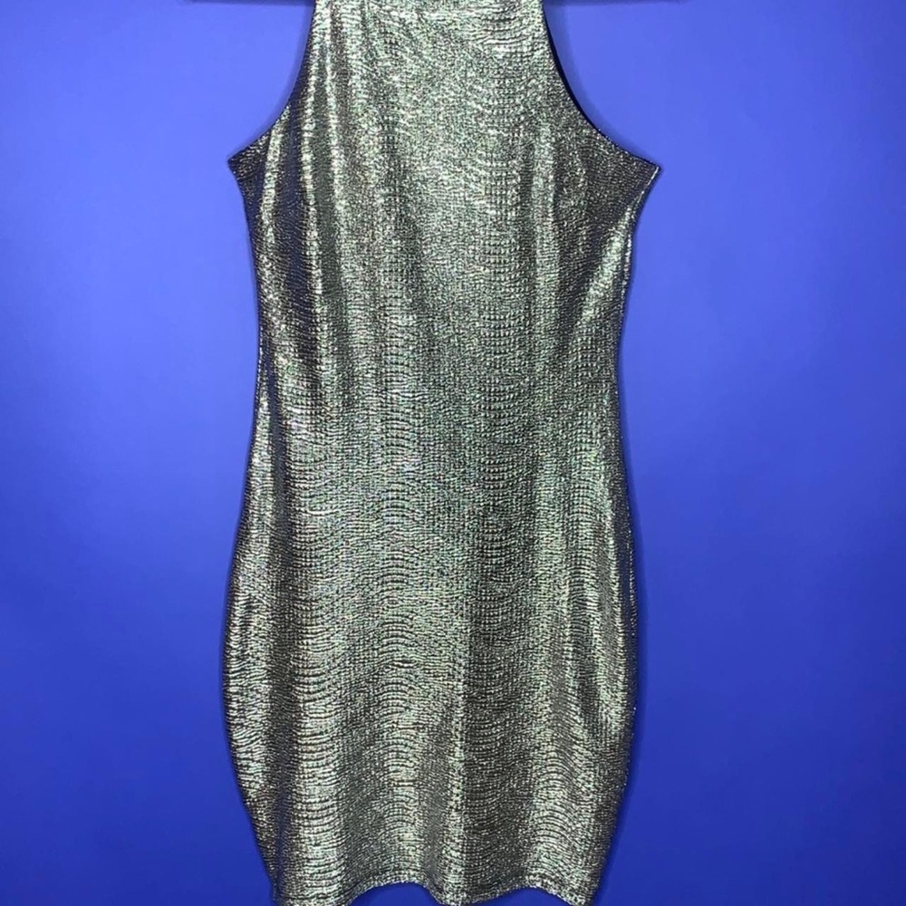 Silver Metallic Dress from Forever 21 🌪